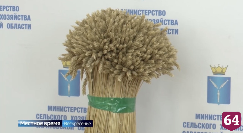 В Саратовской области посевная завершится 20 июня